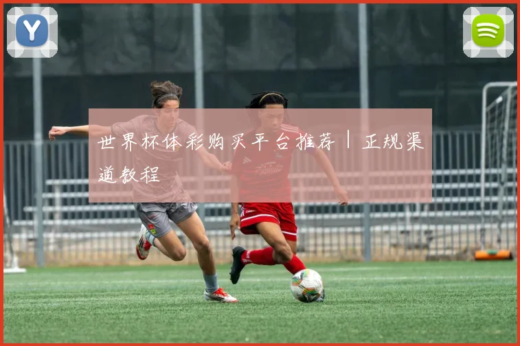 世界杯体彩购买平台推荐｜正规渠道教程