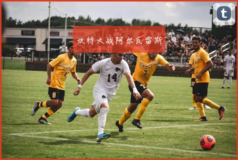 坎特大战阿尔瓦雷斯